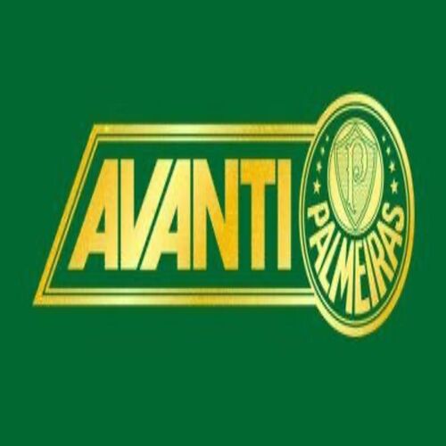 City Tour + Jogo do Palmeiras